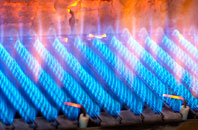Turfholm gas fired boilers